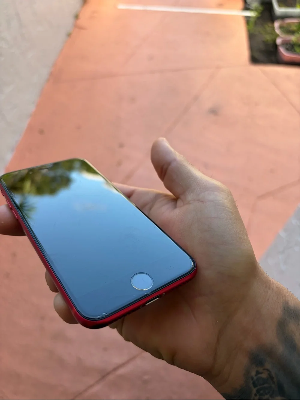 Apple red iphone